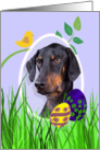 Easter Card featuring a Doberman Pinscher with natural ears card
