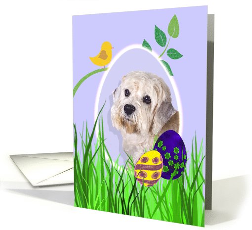 Easter Card featuring a Dandie Dinmont Terrier card (793842)