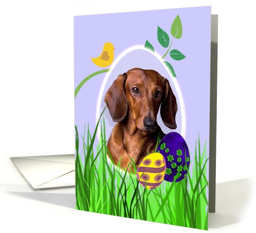 Easter Card featuring a red Dachshund card (793844)