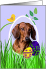 Easter Card featuring a red Dachshund card