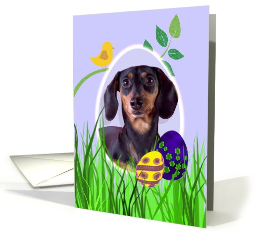 Easter Card featuring a black and tan Dachshund card (793845)