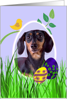 Easter Card featuring a black and tan Dachshund card