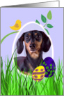 Easter Card featuring a black and tan Dachshund card