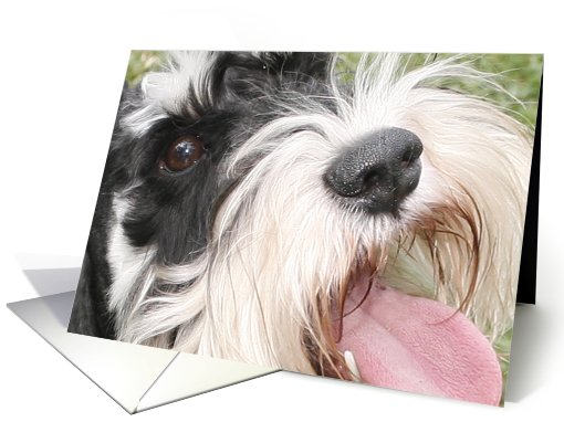 Greetings from Happyville - featuring a Miniature Schnauzer card