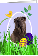 Easter Card featuring a Chinese Shar-Pei card