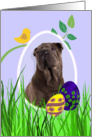 Easter Card featuring a Chinese Shar-Pei card