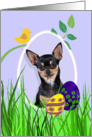 Easter Card featuring a black and tan Chihuahua card