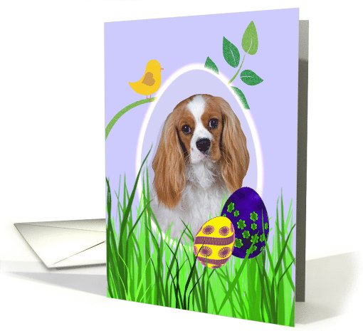 Easter Card featuring a Cavalier King Charles Spaniel card (793991)