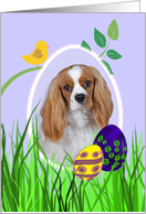 Easter Card featuring a Cavalier King Charles Spaniel card