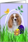 Easter Card featuring a Cavalier King Charles Spaniel card