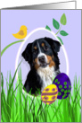 Easter Card featuring a Bernese Mountain Dog card