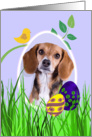 Easter Card featuring a Beagle card