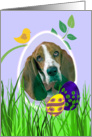 Easter Card featuring a Basset Hound card