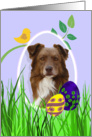 Easter Card featuring a red Australian Shepherd card