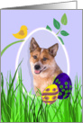 Easter Card featuring a red Australian Cattle Dog card