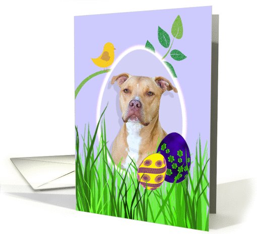 Easter Card featuring an American Staffordshire Terrier card (794276)