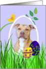 Easter Card featuring an American Staffordshire Terrier card