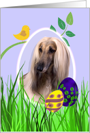 Easter Card featuring an Afghan Hound card