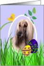 Easter Card featuring an Afghan Hound card