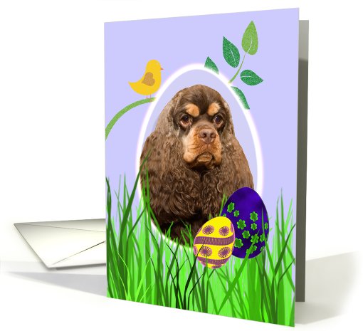 Easter Card featuring a chocolate/tan American Cocker Spaniel card