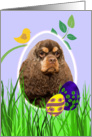 Easter Card featuring a chocolate/tan American Cocker Spaniel card