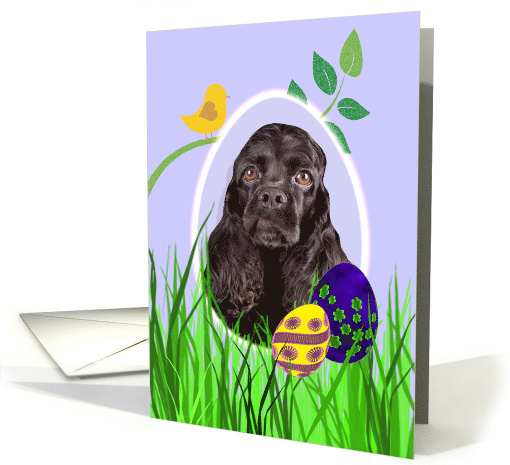 Easter Card featuring a black American Cocker Spaniel card (794294)
