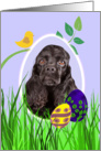 Easter Card featuring a black American Cocker Spaniel card