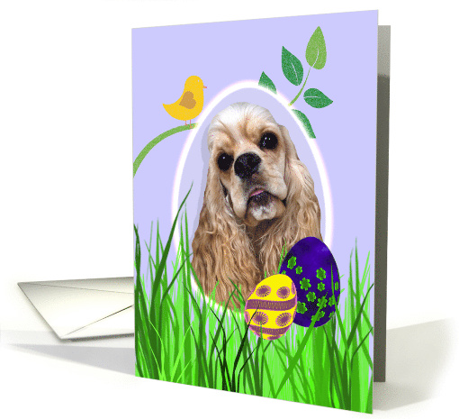 Easter Card featuring a buff American Cocker Spaniel card (794295)