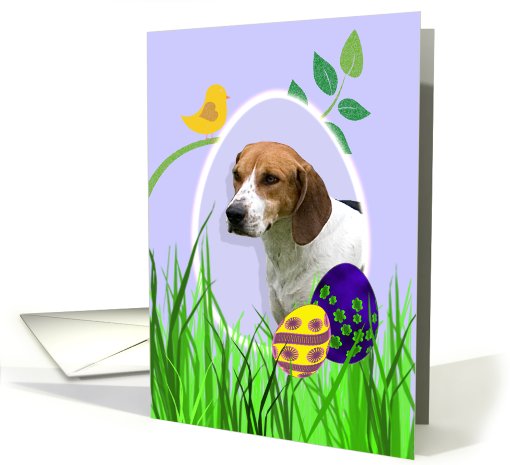 Easter Card featuring a Harrier card (794709)