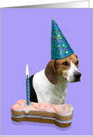 Birthday Card featuring a Harrier card