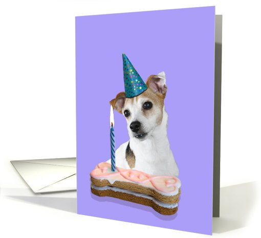 Birthday Card featuring a Jack Russell Terrier card (794769)