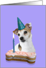 Birthday Card featuring a Jack Russell Terrier card