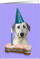 Birthday Card featuring an Irish Wolfhound card