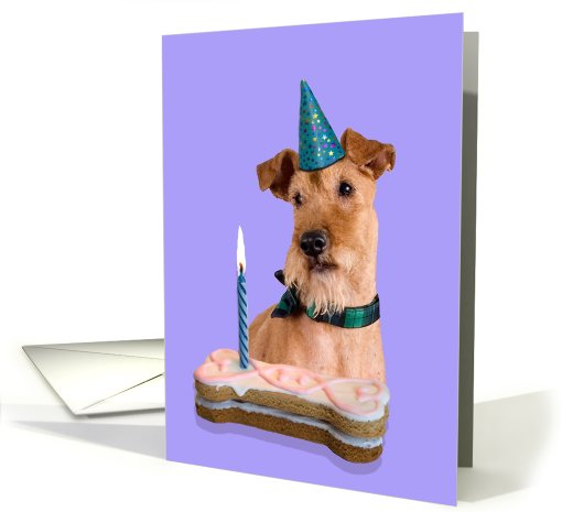 Birthday Card featuring an Irish Terrier card (794771)