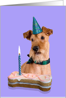 Birthday Card featuring an Irish Terrier card