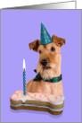 Birthday Card featuring an Irish Terrier card