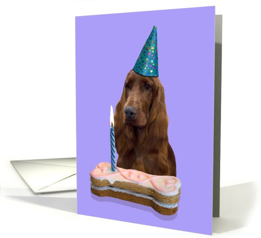 Birthday Card featuring an Irish Setter card (794772)