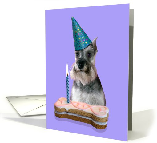 Birthday Card featuring a Miniature Schnauzer card (794782)