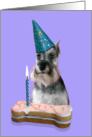 Birthday Card featuring a Miniature Schnauzer card