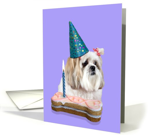 Birthday Card featuring a Lhasa Apso card (794783)