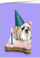 Birthday Card featuring a Lhasa Apso card