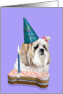 Birthday Card featuring a Lhasa Apso card