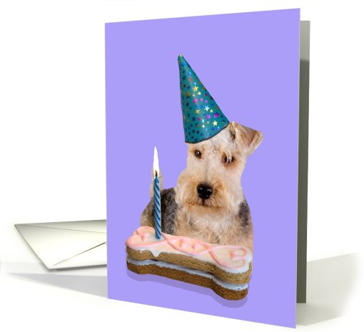 Birthday Card featuring a Lakeland Terrier card (794784)