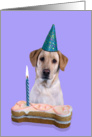 Birthday Card featuring a yellow Labrador Retriever card