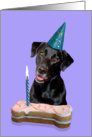 Birthday Card featuring a black Labrador Retriever card