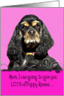 Mother’s Day Licker License - featuring a tri American Cocker Spaniel card