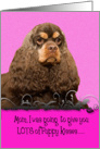 Mother’s Day Licker License - featuring a chocolate/tan American Cocker Spaniel card