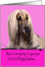 Mother’s Day Licker License - featuring an Afghan Hound card