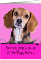 Mothers Day Licker License - featuring a Beagle card