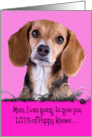 Mothers Day Licker License - featuring a Beagle card